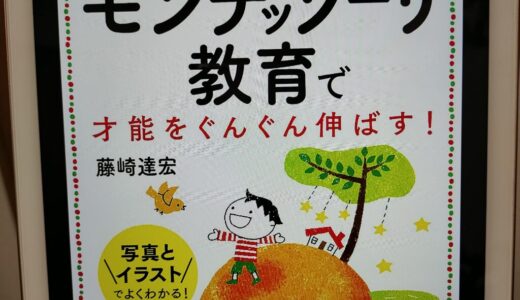 0〜3歳までの実践版　モンテッソーリ教育で才能をぐんぐん伸ばす【藤崎 達宏】